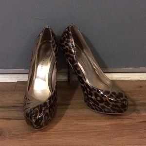 Charlotte Russe Leopard Heel